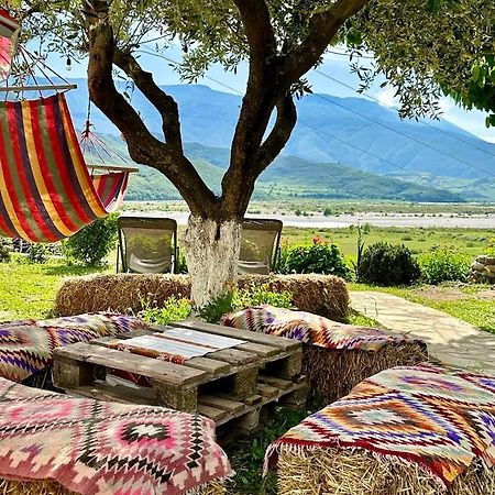 Vjosa Guest House Memaliaj Dış mekan fotoğraf