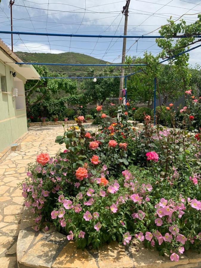 Vjosa Guest House Memaliaj Dış mekan fotoğraf
