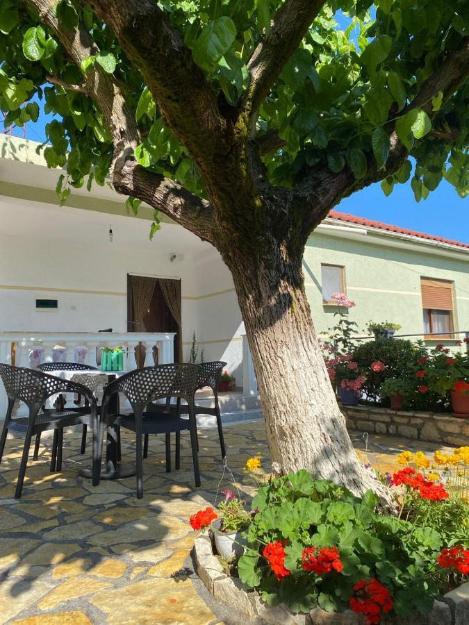 Vjosa Guest House Memaliaj Dış mekan fotoğraf