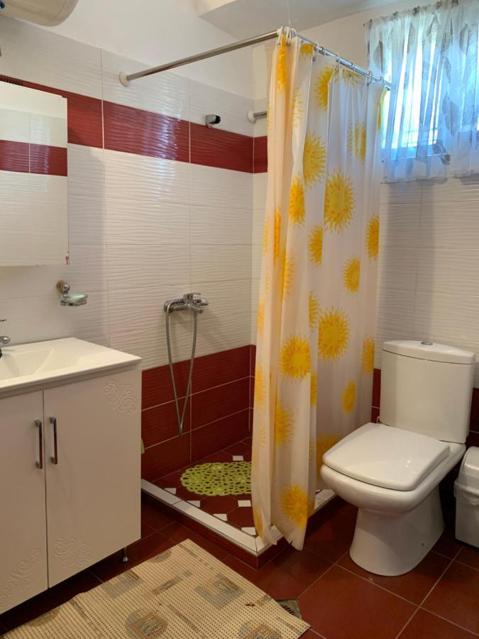 Vjosa Guest House Memaliaj Dış mekan fotoğraf