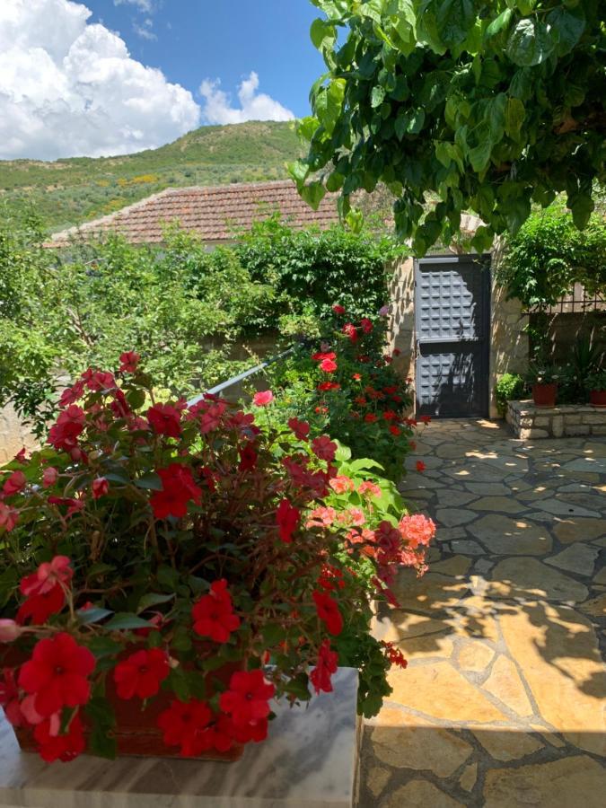 Vjosa Guest House Memaliaj Dış mekan fotoğraf