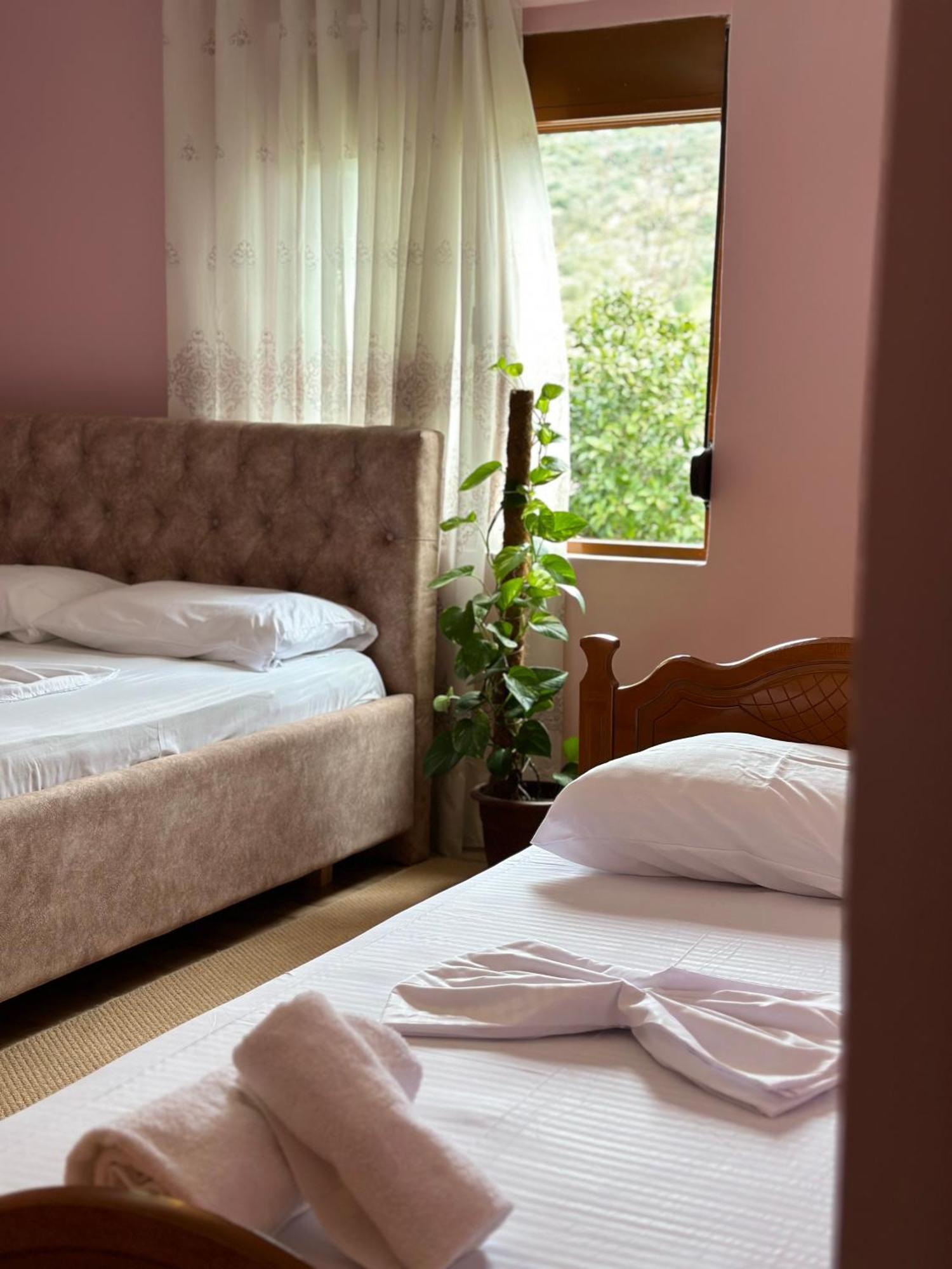 Vjosa Guest House Memaliaj Dış mekan fotoğraf
