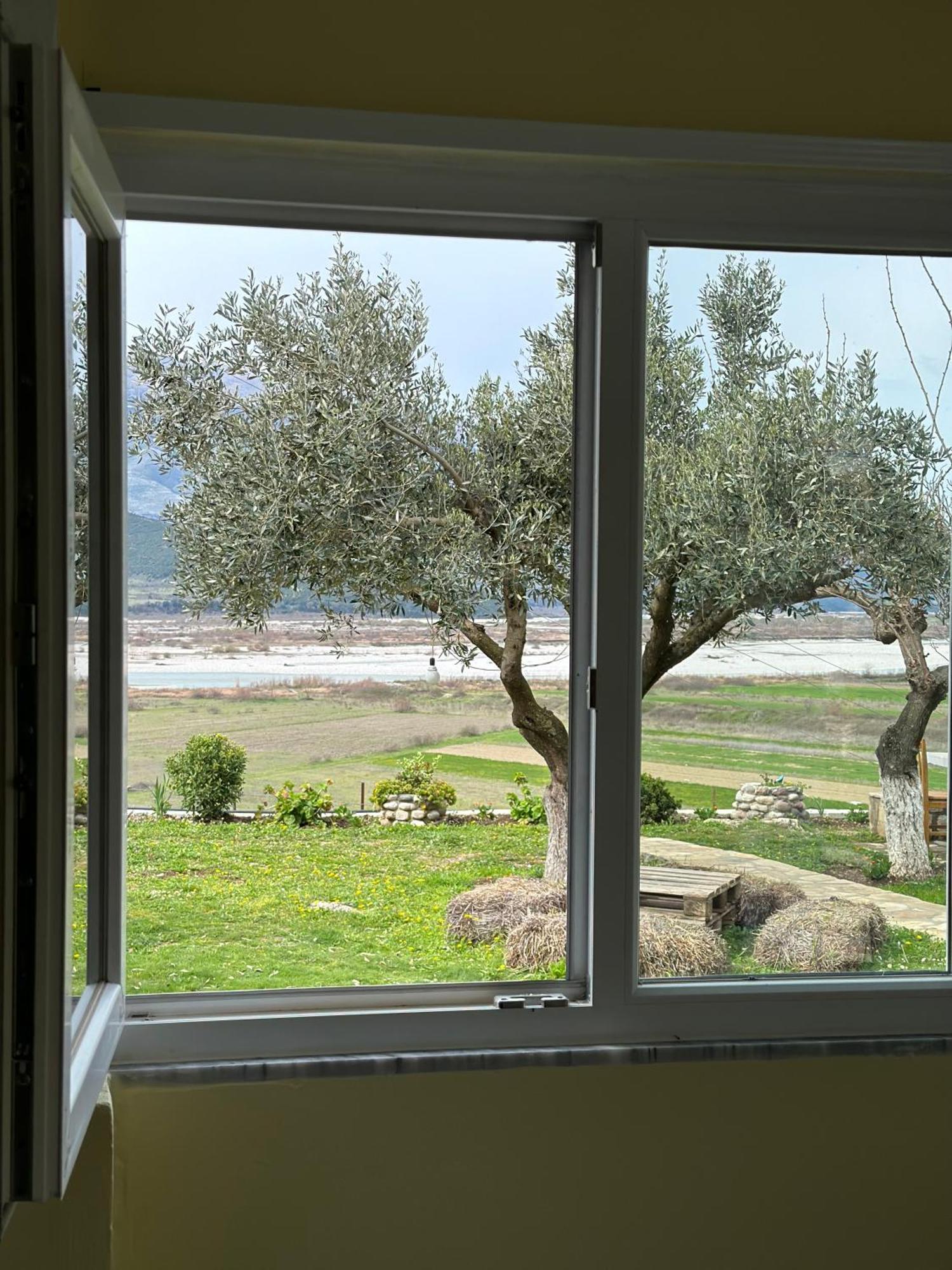 Vjosa Guest House Memaliaj Dış mekan fotoğraf