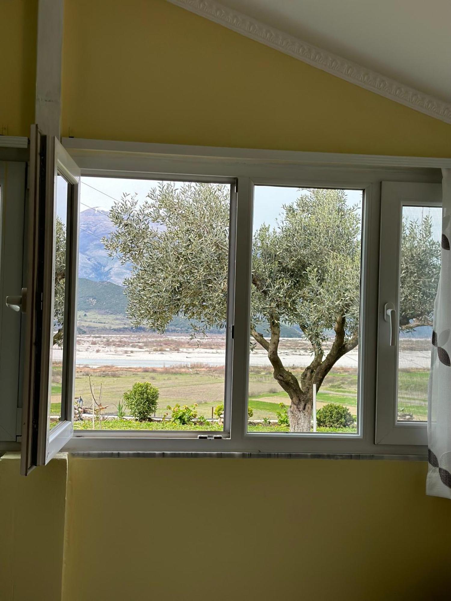 Vjosa Guest House Memaliaj Dış mekan fotoğraf