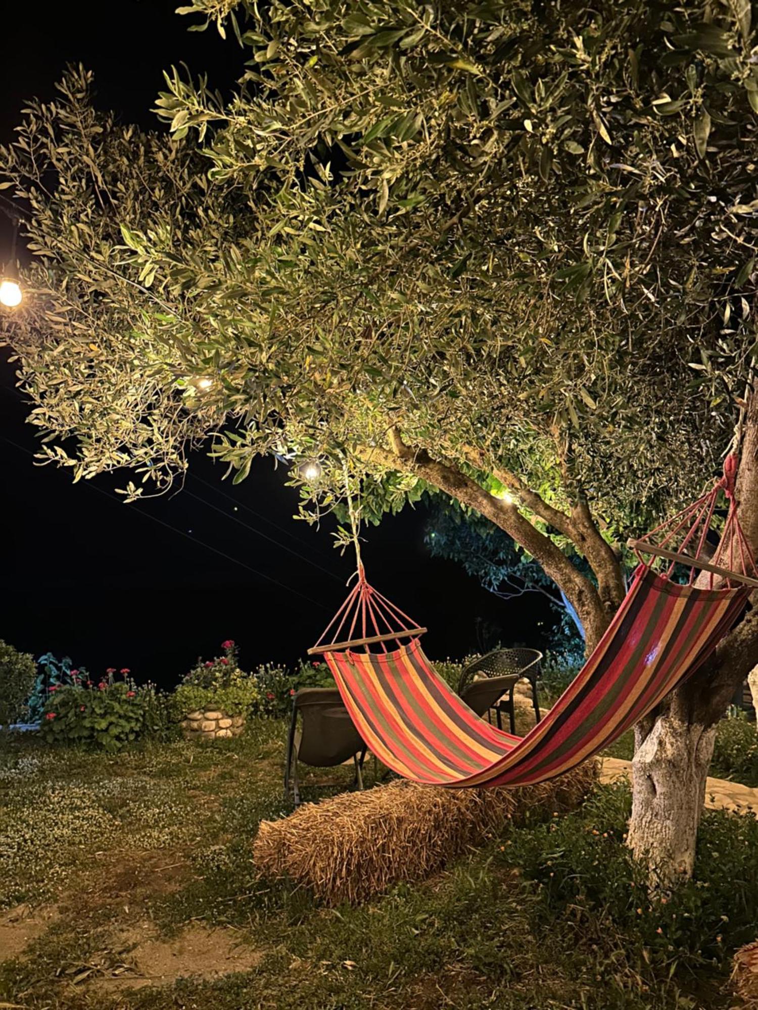 Vjosa Guest House Memaliaj Dış mekan fotoğraf